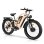 Bicicleta eléctrica Philodo Jumbo Doble Motor 1000W 48V 23Ah Todoterreno