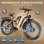 Bicicleta eléctrica Philodo Jumbo Doble Motor 1000W 48V 23Ah Todoterreno