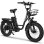 Bicicleta Eléctrica Philodo T1 Motor 750W Batería 48V 20Ah Plegable
