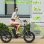 Bicicleta Eléctrica Philodo T1 Motor 750W Batería 48V 20Ah Plegable