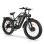 Bicicleta Eléctrica Philodo Jumbo Doble Motor 1000W Baterías Extraíbles 26"