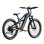 Bicicleta Eléctrica Puluma Ph001 Motor 500W Batería 48V 20Ah 45 km/h