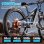Bicicleta Eléctrica Puluma Ph001 Motor 500W Batería 48V 20Ah 45 km/h