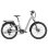 Bicicleta eletrica TTGO E-SUVO 250 W 48 V 15 Ah