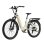 Bicicleta eletrica TTGO E-SUVO 250 W 48 V 15 Ah 27,5 polegadas bege