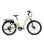 Bicicleta eletrica TTGO E-SUVO 250 W 48 V 15 Ah 27,5 polegadas bege