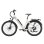 Bicicleta Eléctrica TTGO C5 250W 48V 13,5Ah 27,5"