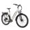 Bicicleta Eléctrica TTGO C5 250W 48V 13,5Ah 27,5"