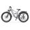Bicicleta Eléctrica Zazawork CF500 1000W 48V 20Ah Todoterreno