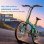 Bicicleta Eléctrica Puluma PT20 Plegable Fibra de Carbono 250W