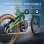 Bicicleta Eléctrica Puluma PT20 Plegable Fibra de Carbono 250W