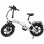Bicicleta Eléctrica Puluma EB FM-2.0 500W 48V 15Ah 20"