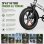 Bicicleta Eléctrica Puluma EB FM-2.0 500W 48V 15Ah 20"