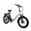 Bicicleta eletrica Avaka Bz20plus 500 W, 70 km IP54