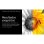 Cartuccia Toner Xerox VersaLink B400/B405 Nero Extra Alta Capacità