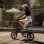 Bicicleta eléctrica plegable DYU D3F 14" 50 km