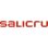 Sai Salicru Adattatore gestione SAI con porta di rete RJ-45