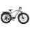 Bicicleta Eléctrica Bodywel D6 Motor 750W Batería 48V 15Ah 26"