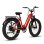 Bicicleta Eléctrica Bodywel D9 Motor 750W Batería 48V 15Ah Neumáticos 26"