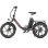 Bicicleta Eléctrica Plegable Maxturn Mule 250W 48V 20Ah 20"