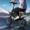 Velo Pliant DYU D3S 250W Pour Adultes