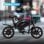 Velo Pliant DYU D3S 250W Pour Adultes