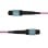 Cable OS2 MTP12 12F StarTech 2m