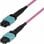 Cable OS2 MTP12 12F StarTech 2m