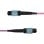 Cable OS2 MTP12 12F StarTech 2m