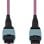 Cable OS2 MTP12 12F StarTech 2m