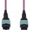 Cable de fibra óptica StarTech.com 10 m OS2 MPO/MTP tipo A