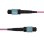Cable de Fibra Óptica StarTech MTP/MPO OS2 12F Tipo A 5m Plénum OFNP