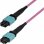 Cable de Fibra Óptica StarTech MTP/MPO OS2 12F Tipo A 5m Plénum OFNP