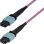 Cable de Fibra Óptica StarTech MTP/MPO OS2 12F Tipo A 5m Plénum OFNP