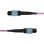 Cable de Fibra Óptica StarTech MTP/MPO OS2 12F Tipo A 5m Plénum OFNP