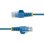 Cable de red StarTech Cat6 U/UTP Azul 10-Pack 1 m