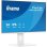 Monitor PC iiyama ProLite XB2497HSN-W1 23,8" FullHD 100Hz IPS USB-C Altoparlanti Regolazione Altezza