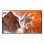 Monitor Sony BZ30P 43" UltraHD 4K 60Hz IPS HDR10 Dolby Vision WiFi Android