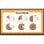 Pannello interattivo LG CreateBoard 65TR3ER-B 65 pollici 4K tattile