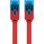Cable Goobay 96300 Cat6 UTP RJ-45 Rouge 0,5 m