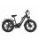Bicicleta eletrica Nathaniel SYR08 Twin Motor 1000W 48V 20Ah 20 polegadas