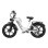 Bicicleta eléctrica Nathaniel SYR08 doble motor 2000W 48V 20Ah todoterreno