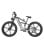 Elektrisches Fahrrad Nathaniel SYR-09 Doppelmotor 1000W