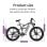 Elektrisches Fahrrad Nathaniel SYR-09 Doppelmotor 1000W