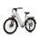 Elektrisches Fahrrad Hedatx TX2 500W 48V 16Ah SHIMANO 7 Gange