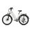 Elektrisches Fahrrad Hedatx TX2 500W 48V 16Ah SHIMANO 7 Gange