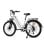 Elektrisches Fahrrad Hedatx TX2 500W 48V 16Ah SHIMANO 7 Gange
