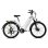 Elektrisches Fahrrad Hedatx TX2 500W 48V 16Ah SHIMANO 7 Gange