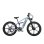 Bicicleta Elétrica Nathaniel SYR-09 Duplo Motor 1000W 48V 20Ah Todo-Terreno 26"