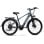 Veloelektrische Hedatx TX2 26 Zoll SHIMANO 7-Gang